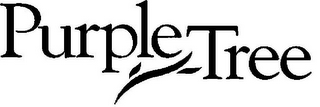 PURPLE TREE logo