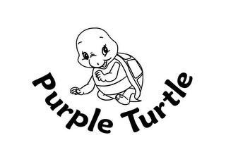 PURPLE TURTLE logo