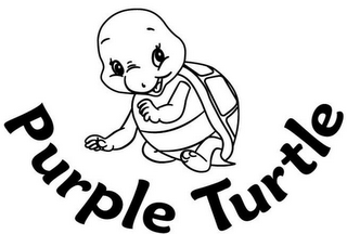 PURPLE TURTLE logo