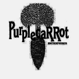 PURPLECARROT ENTERPRISES logo