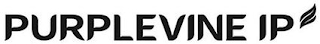PURPLEVINE IP logo