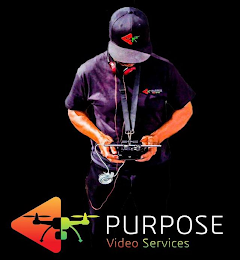 PURPOSE VIDEO SERVICES logo