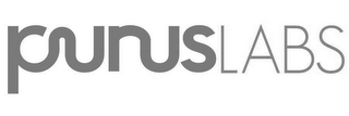 PURUS LABS logo