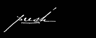 PUSH logo