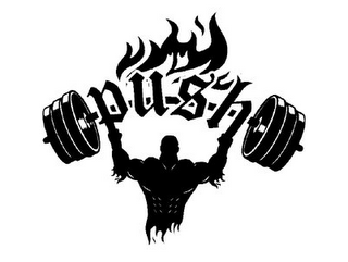 PUSH logo