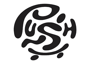 PUSH logo