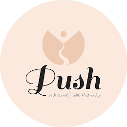 PUSH A MATERNAL HEALTH PARTNERSHIP logo