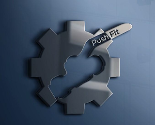 PUSH FIT logo