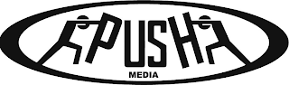 PUSH MEDIA logo