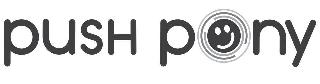 PUSH PONY logo