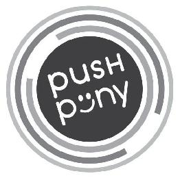 PUSH PONY logo