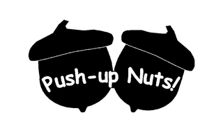 PUSH-UP NUTS! logo