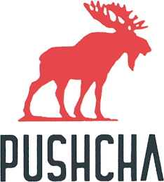 PUSHCHA logo