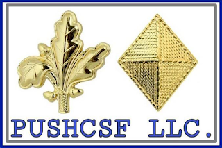 PUSHCSF LLC. logo