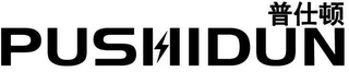 PUSHIDUN logo