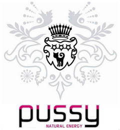 PUSSY NATURAL ENERGY logo
