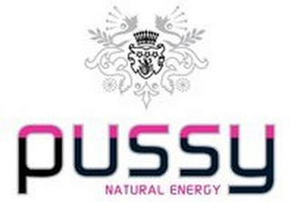 PUSSY NATURAL ENERGY logo