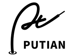 PUTIAN logo