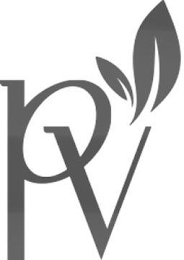 PV logo
