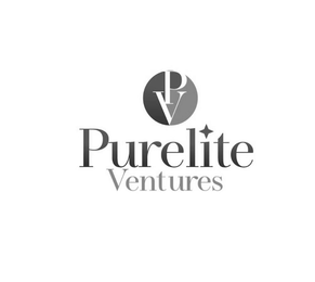 PV PURELITE VENTURES logo