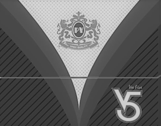 PV V5 VEE FIVE HIGH QUALITY V logo