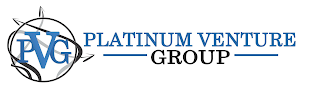 PVG PLATINUM VENTURE GROUP logo