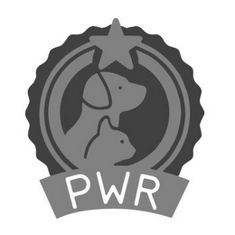 PWR logo