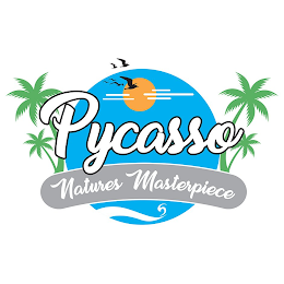 PYCASSO NATURES MASTERPIECE logo