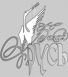 PYCB logo