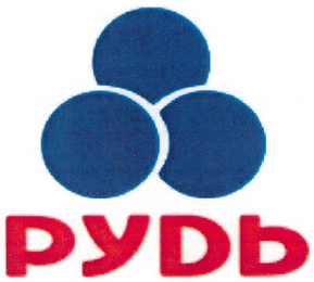 PYDD logo