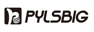 PYLSBIG logo