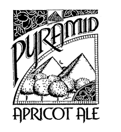 PYRAMID APRICOT ALE