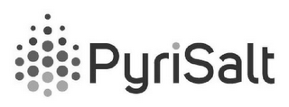 PYRISALT logo