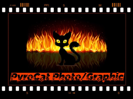 PYROCAT PHOTO/GRAPHIC logo