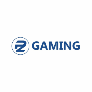 PZ GAMING logo