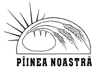 PÎINEA NOASTRA logo