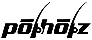 PÕLHÕLZ logo