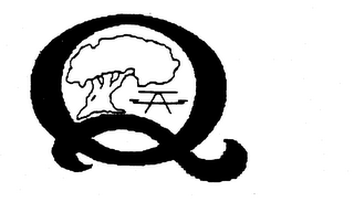 Q logo