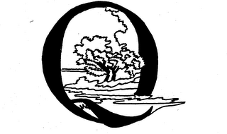 Q logo
