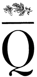 Q logo