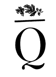 Q logo