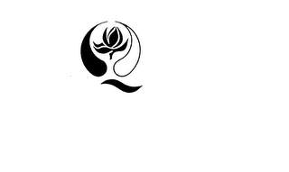 Q logo