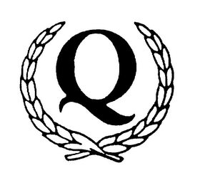 Q logo