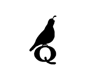 Q logo