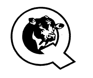 Q logo