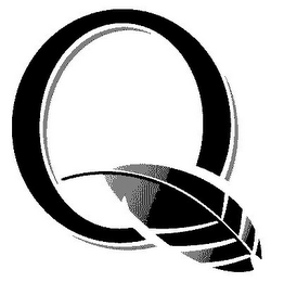 Q logo