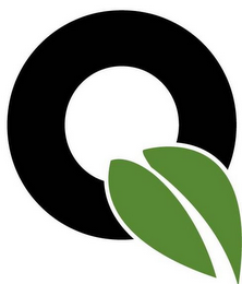 Q logo