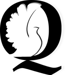 Q logo