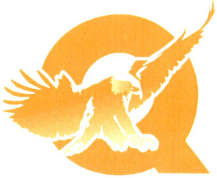 Q logo
