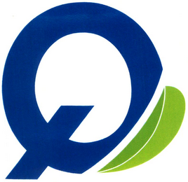 Q logo